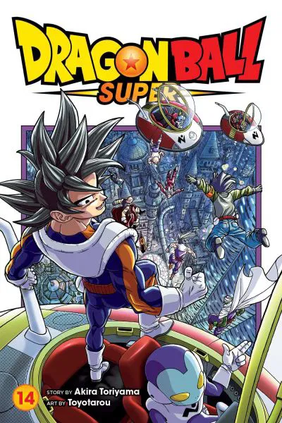Livro 6